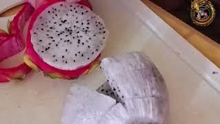 #VIRAL#VIDEO#HOW TO PEEL#WHITE#DRAGON#FRUIT#BY #DJBUNGAL