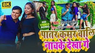 #video Patar Kamar Wali Nach Ke Dekha - पातर कमर वाली नाच के देखा ||#maithalisong newsong | hitsong