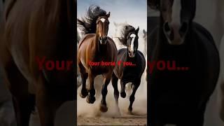 Your horse if you…