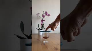 CapCut İlizyon videolar nasıl yapılır? #capcut #capcutedit #ilizyon