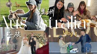 VLOG：人生第一次去澳洲！闺蜜酒庄婚礼 看考拉和袋鼠、打卡帽子餐厅、成人秀！！PART 1