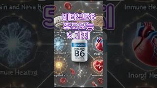 비타민B6 효능          #비타민B6