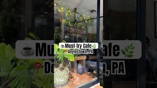 Must-try Cafe in Doylestown, PA #nativecafe