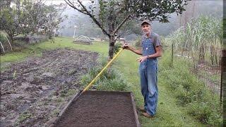 How to Plant Carrots