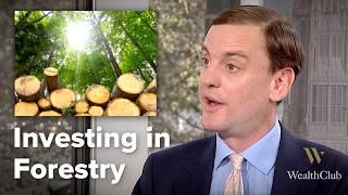 Why invest in Forestry in 2024/25?