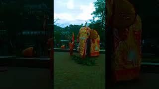 Pride of the Nation Lion King |Travel & Events | BlissfulMomentsWithUs | #viral | #Short Video