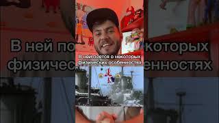 Фейк или не фейк? Проверяем песню из мультфильма «Маша и медведь»