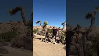 Legend has it, the Yucca Man is still out there in Joshua Tree to this day 