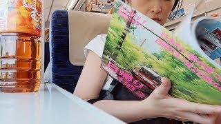 [ENG CC] Train Traveling In The Countryside of Japan Wakayama Vlog