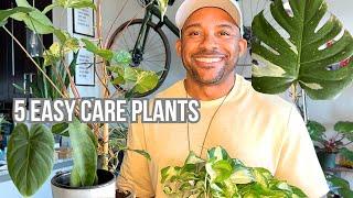 5 Easy Care Plants You’ll Love: Care Tips & Tricks For How They Thrive In My Collection!