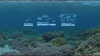 Wildlife Conservation Society (WCS) Tanzania reefs 360