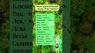 Какое дерево подходит твоему знаку  #астрология #гороскоп #успех #психология #знакизодиака #зодиак