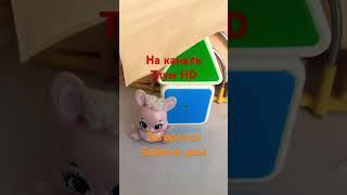 Мультик Загорелся зайкин дом! на канале Тлум HD