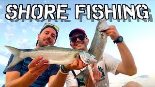 How Many casts to catch a Bluefish?! Topwater shore fishing in Italy