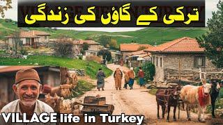 Turkish  Village Rural Life Documentary in Urdu/Hindi | ترکی کے گاؤں کی زندگی