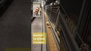 #851 Знакомство с теплогенератором и не только