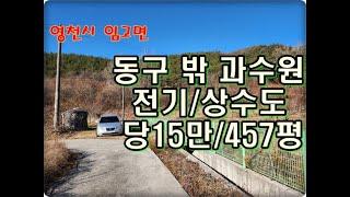 (영천착한부동산)NO.945/체류형 쉼터 설치하기 딱 좋은 살구밭457평