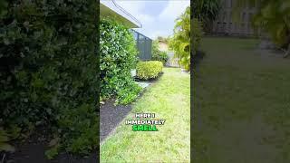 Escape to Your Own Private Oasis in this Backyard Garden In Cape Coral Florida