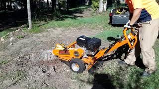 Stump Grinder - Easy Hire Tools