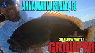 Anna Maria Island Fishing for Grouper - Shallow Water GAG GROUPER (Best Bait)