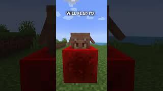 Minecraft Added Piglin Mob Heads! #shorts