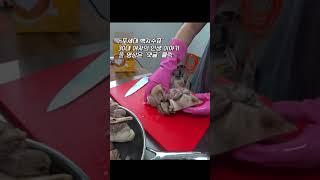 고사 지내고 나서 돼지머리 사용법 #n포세대백지수표 #shorts