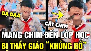 'MANG CHIM' đến lớp học, nam sinh bị thầy giáo 'KHỦNG BỐ TINH THẦN' | Tin Nhanh 3 Phút