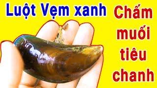 BUI VLOGS | Luộc Dờm Biển (Vẹm Xanh) chấm muối tiêu chanh ăn ngon hết sảy