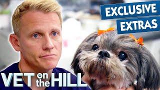 Dog's Heartbreaking Cancer Diagnosis  Vet On The Hill Extended | Bondi Vet Full Episode