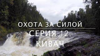 Охота за силой.  Серия 12.  Кивач [Родогой Орлов]