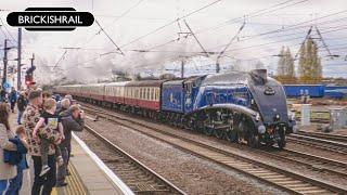 Gresley A4 and Stanier Five on the Fast | LNER 60007 'Sir Nigel Gresley' & LMS 44871 - 16/11/24