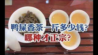 鸭屎香茶一斤多少钱？几百元、几千元还是上万元？哪种才正宗？