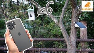 iPHONE CONTROLS MY BiRDKiSS BiRDFEEDER 