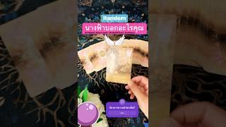 ข้อความจากนางฟ้า #ดูดวง#random#bowe64tarot#tarot #tarotreading#เทรนด์วันนี้#กระแสตอนนี้