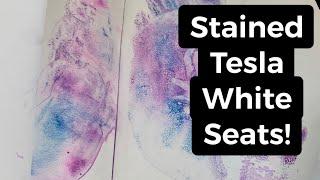 Tesla White Seats Stained Super Seat Cleaner?