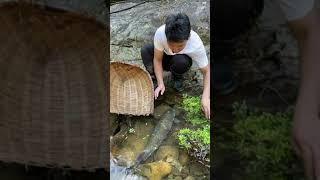 Amazing Fishing Video  Satisfying Fishing Hight Technology  Tik Tok China #fishing #Ep137