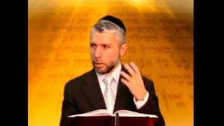 הרב זמיר כהן, פרשת מצורע | לשון הרע / Rabbi Zamir Cohen, Parashat Metzora | Slander 