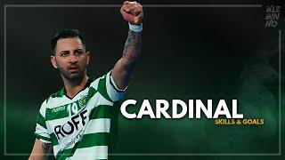 Cardinal Is The Perfect Pivot | HD