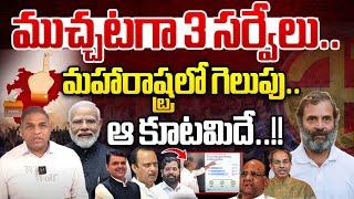 మహారాష్ట్రలో గెలుపు ఆ పార్టీదే | Latest Political Survey On Maharastra Elections | Wild Wolf Telugu