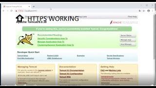 HOW TO Setup Tomcat 9 HTTPS in 2 minutes