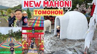 NEW MAHONI TOMOHON || SULAWESI UTARA