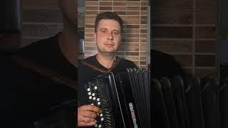 Оля Полякова | Королева ночи | На баяне