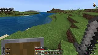 Minecraft console beating game w in the chat