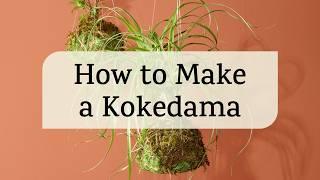 How to Make a Kokedama