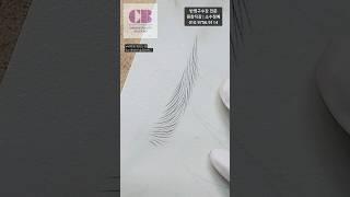 @체인지뷰티아카데미 풍성한눈썹숱표현을위한#엠보눈썹#다양한엠보결공식보유#체인지뷰티#반영구수강#원장직강#반영구눈썹#눈썹문신#shorts