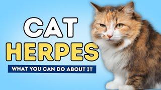 Cat Herpes: What It Is and What You Can Do About It