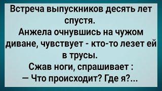 Как Анжела На Чужом Диване Очнулась! Сборник Свежих Анекдотов! Юмор!