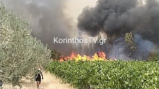 KorinthosTV.gr: Μεγάλη φωτιά σε δασική περιοχή ανάμεσα σε Σπαθοβούνι και Καλέντζι Κορινθίας