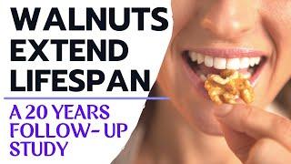 Walnuts Extend Lifespan | A 20 Year Follow-Up Study | Study Review By Modern Healthspan