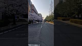 국민대학교 왔습니다